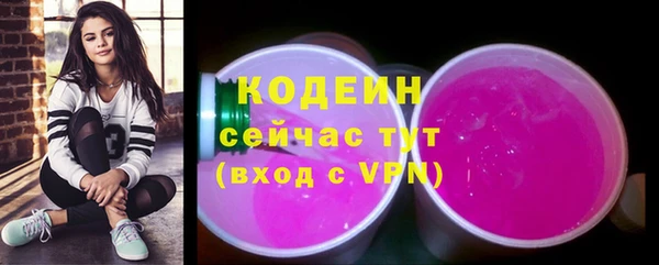 mix Богородицк